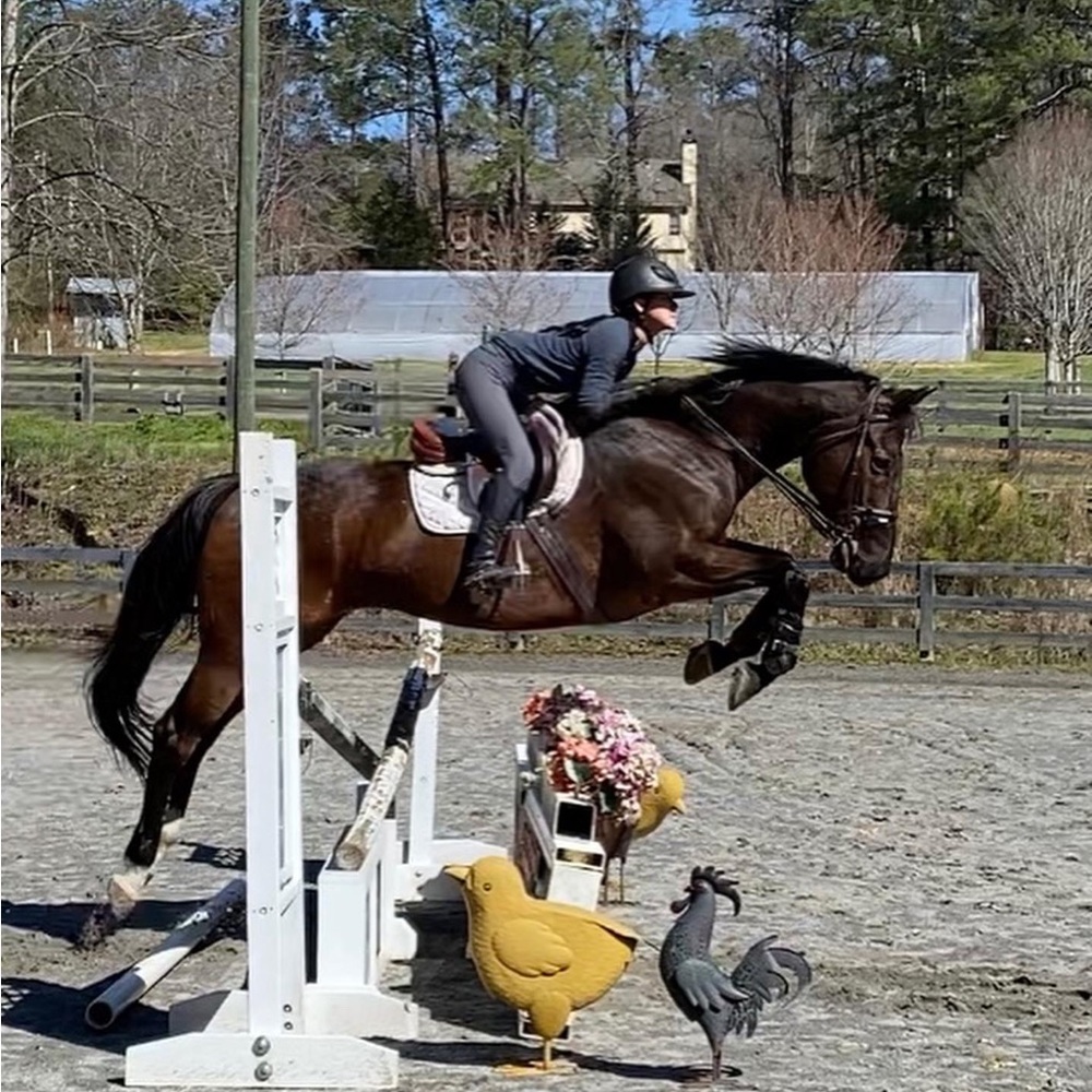 Fellow Equestrians!